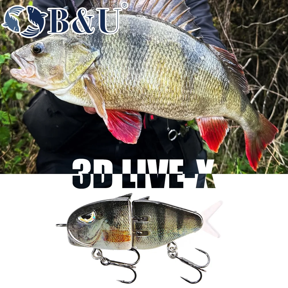 B & U بطيئة غرق الصيد إغراء 55 - مراجعة Fishing Lure Jerkbait وسعره