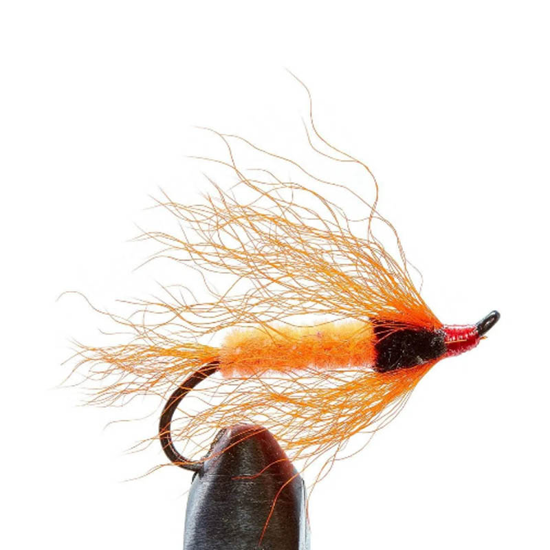 2 قطعة ذيل العجل يطير ربط المو - مراجعة Fishing Lure Topwater وسعره